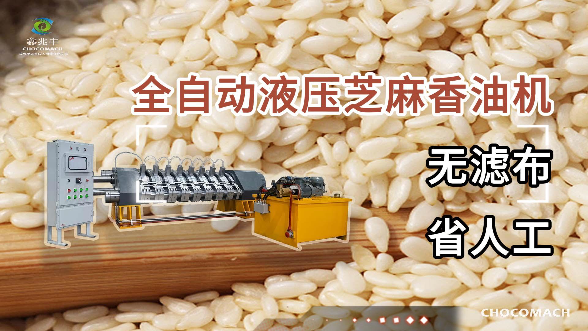 兆格環(huán)保YZYW全自動芝麻液壓榨油機(jī)/香油機(jī)